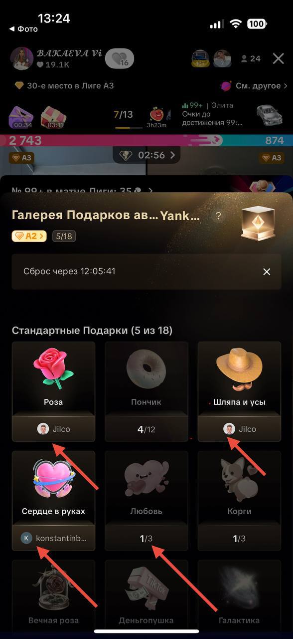 Gift Gallery on a TikTok streamer's profile with title gifters